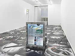 Autumn on Everything — Peter Fischli Gili Tal — Exhibitions — Galerie Buchholz — Image 40