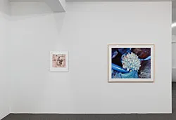 Teiku — Yair Oelbaum — Exhibitions — Galerie Buchholz — Image 84