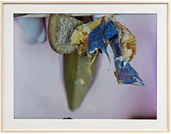 Teiku — Yair Oelbaum — Exhibitions — Galerie Buchholz — Image 93