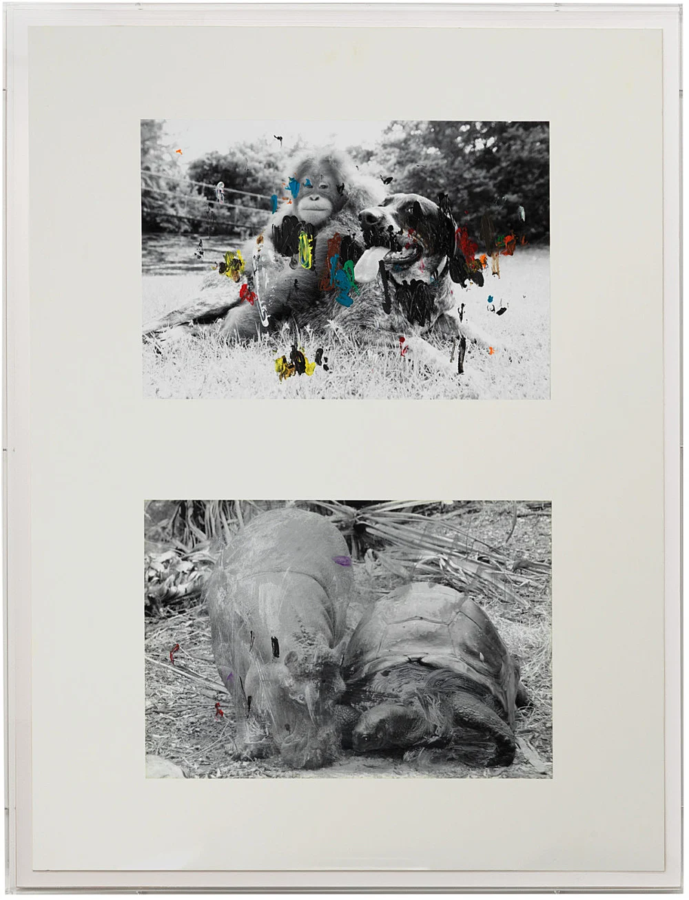 an exhibition organized by Samuel Hindolo — Yuji Agematsu, Gilles Aillaud, Cecilia Bjartmar Hylta, Prunella Clough, Curtis Cuffie, Dominick Di Meo, Trisha... — Exhibitions — Galerie Buchholz — Image 00