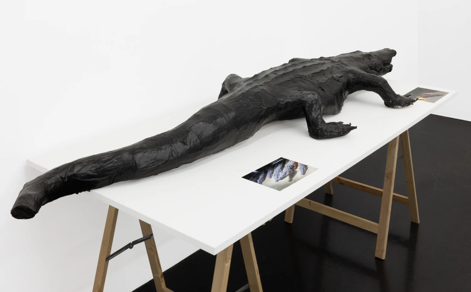 Food chain incl. prehistoric animals — Henrik Olesen — Exhibitions — Galerie Buchholz — Image 24
