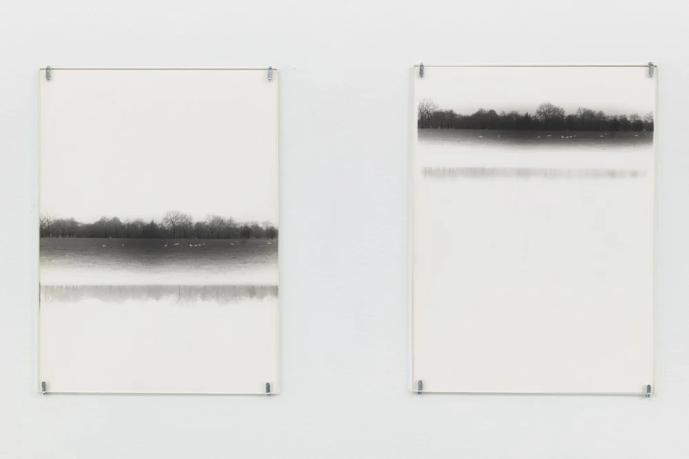 Correction of perspective in my bedroom — Alix Cléo Roubaud — Exhibitions — Galerie Buchholz — Image 00