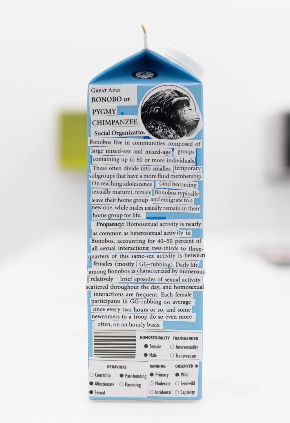 Food chain incl. prehistoric animals — Henrik Olesen — Exhibitions — Galerie Buchholz — Image 13