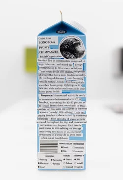 Food chain incl. prehistoric animals — Henrik Olesen — Exhibitions — Galerie Buchholz — Image 69