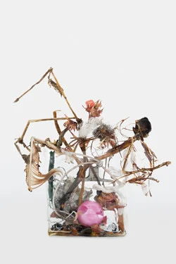 Zip 01-01-2024 12-31-2024 — Yuji Agematsu — Exhibitions — Galerie Buchholz — Image 123