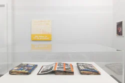 Projects for Outside ISA USA — Isa Genzken — Exhibitions — Galerie Buchholz — Image 167