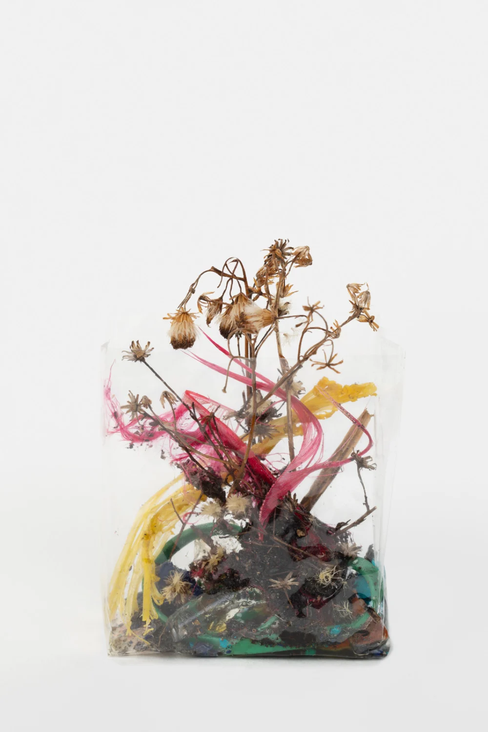 Zip 01-01-2024 12-31-2024 — Yuji Agematsu — Exhibitions — Galerie Buchholz — Image 74