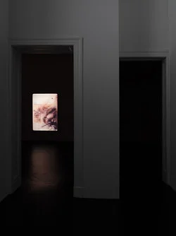 Marseille 1994 — Yuji Agematsu — Exhibitions — Galerie Buchholz — Image 28