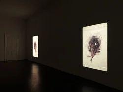 Marseille 1994 — Yuji Agematsu — Exhibitions — Galerie Buchholz — Image 33