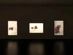 Marseille 1994 — Yuji Agematsu — Exhibitions — Galerie Buchholz — Image 36
